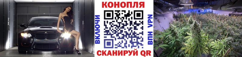 Виды наркоты Малгобек Конопля Кетамин ГАШ МЕФ