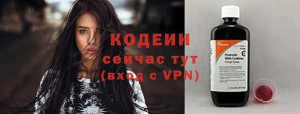 СК Куртамыш