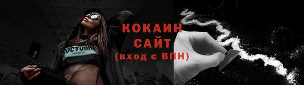 ПСИЛОЦИБИНОВЫЕ ГРИБЫ Кулебаки