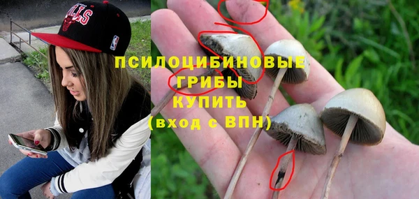 a pvp Майский