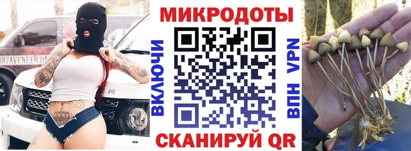 Псилоцибиновые грибы Cubensis Малгобек