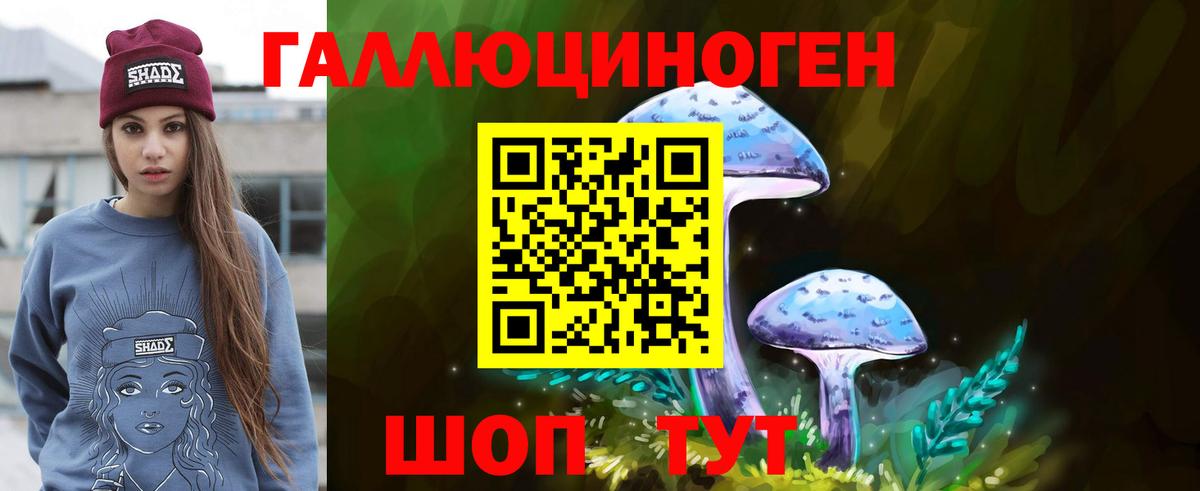Псилоцибиновые грибы мицелий  Вход с VPN  Малгобек  Псилоцибиновые грибы Cubensis 