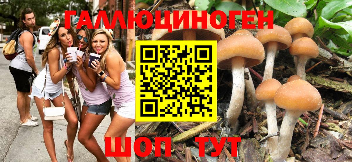 Псилоцибиновые грибы ЛСД Малгобек